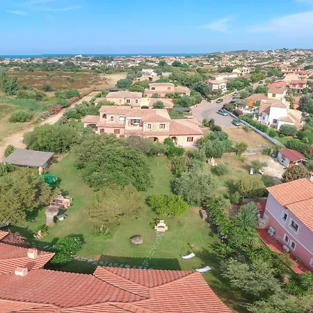 Ginepro San Teodoro (Sardinia)