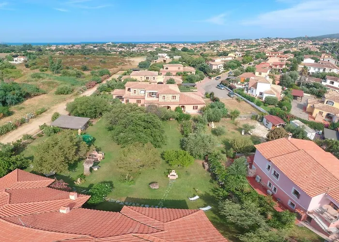 Ginepro San Teodoro (Sardinia)